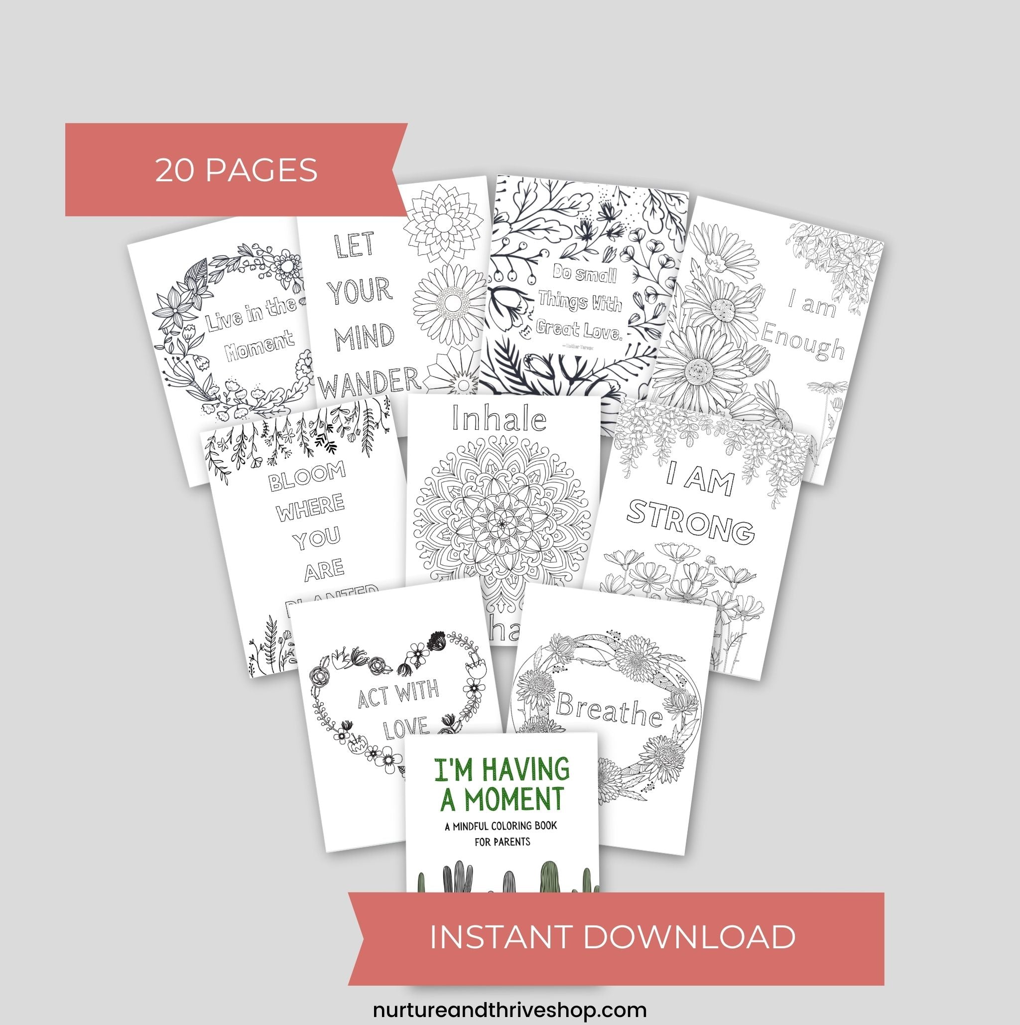 I'm Having a Moment: A Mindful Coloring Book for Parents